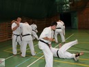 IBK-IBKHF Summer Camp