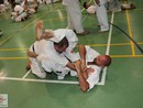 IBK-IBKHF Summer Camp