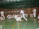 IBK-IBKHF Summer Camp
