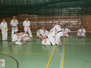 IBK-IBKHF Summer Camp