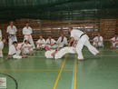 IBK-IBKHF Summer Camp