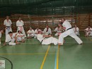 IBK-IBKHF Summer Camp