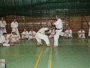 IBK-IBKHF Summer Camp