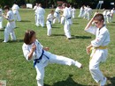 IBK-IBKHF Summer Camp