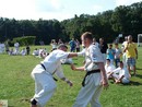 IBK-IBKHF Summer Camp