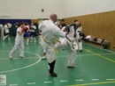 K-1 edzés a TEK Gála Győztes Molnár Zoltánnal a Seishin Dojóban