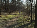 Seishin SE IV. Szilveszteri terepfutás