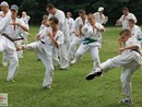 III. Nyári Seishin Edzőtábor