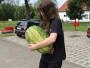 III. Nyári Seishin Edzőtábor
