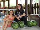 III. Nyári Seishin Edzőtábor