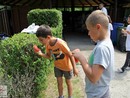 III. Nyári Seishin Edzőtábor