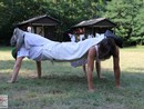 III. Nyári Seishin Edzőtábor
