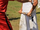 III. Nyári Seishin Edzőtábor