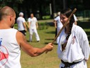 III. Nyári Seishin Edzőtábor