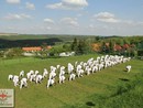 Tavaszi Edzőtábor