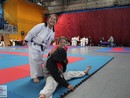 XVII. Bushido Kupa
