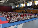 XVII. Bushido Kupa