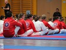 XVII. Bushido Kupa