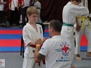 XVII. Bushido Kupa