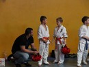 XVII. Bushido Kupa
