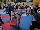 XVII. Bushido Kupa
