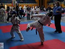 XVII. Bushido Kupa