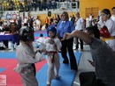 XVII. Bushido Kupa