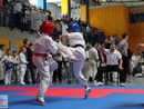 XVII. Bushido Kupa