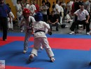 XVII. Bushido Kupa