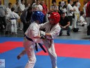 XVII. Bushido Kupa