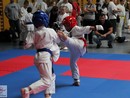XVII. Bushido Kupa