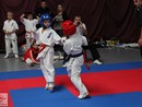 XVII. Bushido Kupa