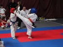 XVII. Bushido Kupa