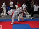 XVII. Bushido Kupa