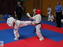 XVII. Bushido Kupa