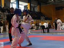 XVII. Bushido Kupa