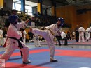XVII. Bushido Kupa