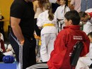 XVII. Bushido Kupa