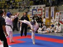 XVII. Bushido Kupa