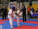 XVII. Bushido Kupa
