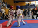 XVII. Bushido Kupa