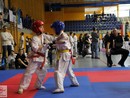 XVII. Bushido Kupa