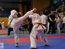 XVII. Bushido Kupa
