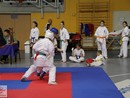 XVII. Bushido Kupa