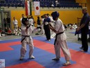 XVII. Bushido Kupa
