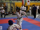 XVII. Bushido Kupa