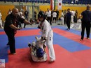 XVII. Bushido Kupa