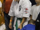 XVII. Bushido Kupa