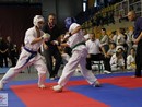 XVII. Bushido Kupa