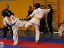 XVII. Bushido Kupa